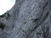 Peternschartenkopf Nordostwand