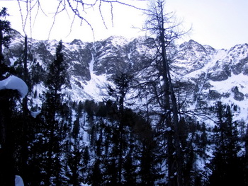 Großer Grießstein Nordflanke, unsere Aufstiegsrinne am rechten Bildteil, rechts vom Baum