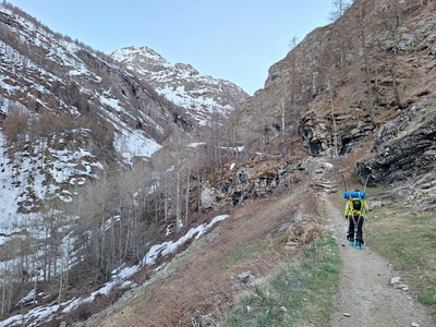 &Uuml;ber den Wanderweg Richtung H&uuml;tte