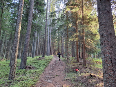 Speedhiking/Trailrunning Stanzer Trail XL