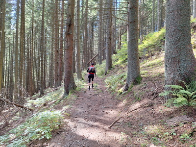 Speedhiking/Trailrunning Stanzer Trail XL