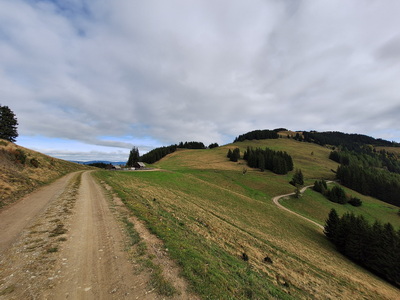 Speedhiking/Trailrunning Stanzer Trail XL