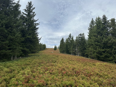 Komplette Traverse der Gleinalm