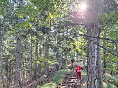 Trailrunning Gamskogel und Schartnerkogel