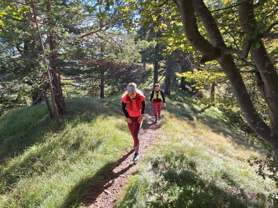 Trailrunning Gamskogel und Schartnerkogel