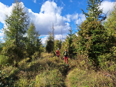 Trailrunning Gamskogel und Schartnerkogel