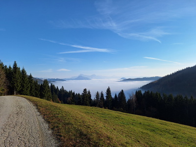 Trailrunning Gamser Almrunde