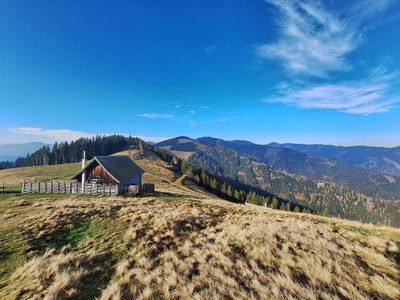 Trailrunning Gamser Almrunde