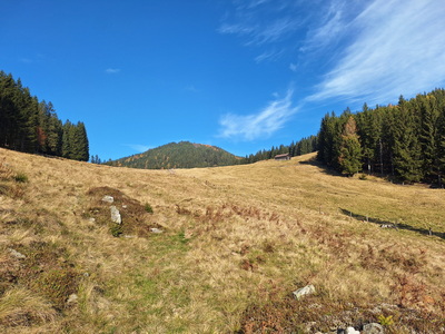 Trailrunning Gamser Almrunde