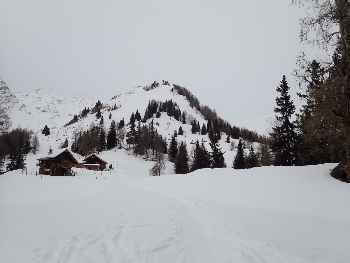 Ochsentrieb 2651m (Schlechtwettergipfel)